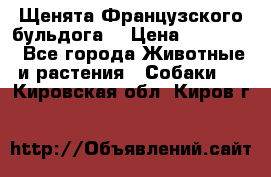 Щенята Французского бульдога. › Цена ­ 45 000 - Все города Животные и растения » Собаки   . Кировская обл.,Киров г.